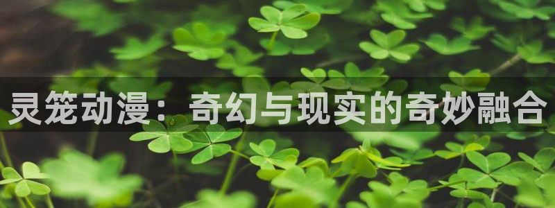动漫里番免费看：灵笼动漫：奇幻与现实的奇妙融合