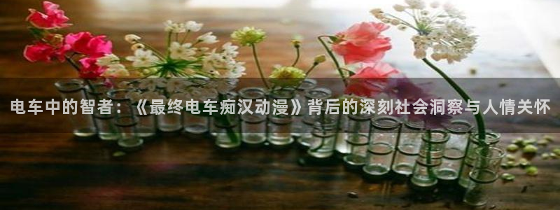 里番漫画全彩本子：电车中的智者：《最终电车痴汉动漫》背后的深刻社会洞察与人情关怀