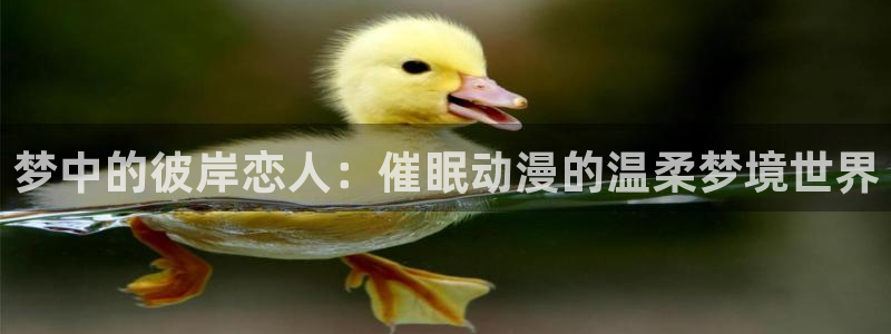 里番动漫观看在线：梦中的彼岸恋人：催眠动漫的温柔梦境世界