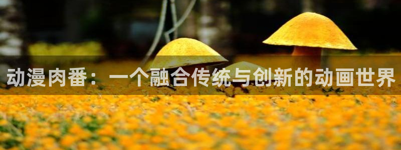 旧里番 动漫：动漫肉番：一个融合传统与创新的动画世界