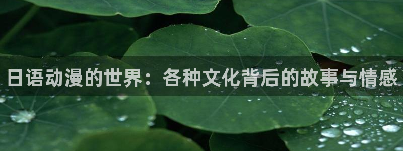 旧里番动漫3d：日语动漫的世界：各种文化背后的故事与情感