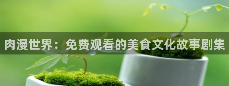 禁漫里番：肉漫世界：免费观看的美食文化故事剧集