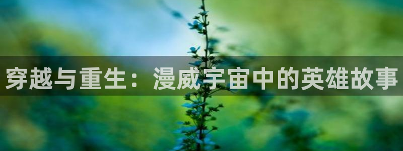 漫画里番：穿越与重生：漫威宇宙中的英雄故事