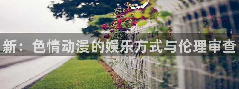 动漫里番xxx：新：色情动漫的娱乐方式与伦理审查