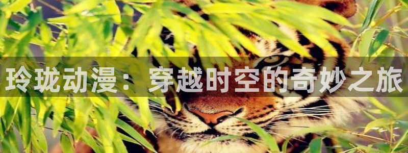 里番漫画免费：玲珑动漫：穿越时空的奇妙之旅