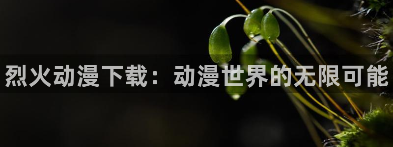 里番动漫 在线观看：烈火动漫下载：动漫世界的无限可能