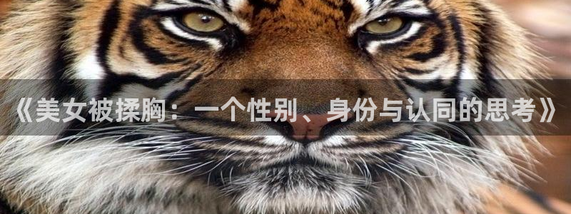 日本里番动漫推荐