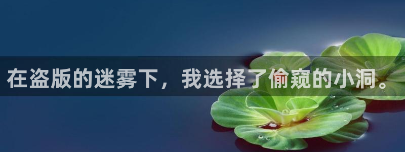 漫画里番本子库：在盗版的迷雾下，我选择了偷窥的小洞。